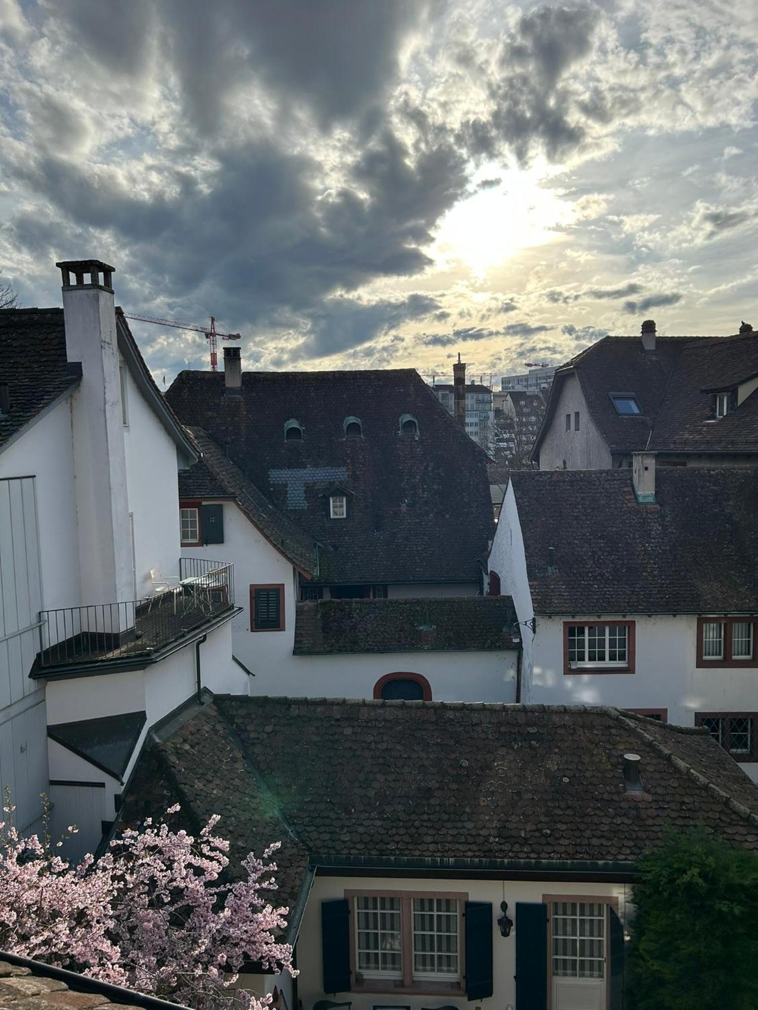 Rheinstream Guesthouse Bâle Extérieur photo
